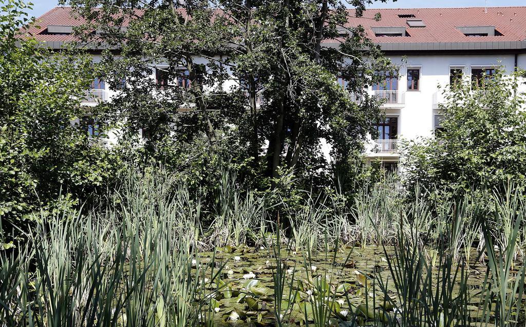 Steinbach im Taunus Tagungs- Und Bildungszentrum Steinbach/Taunus מראה חיצוני תמונה